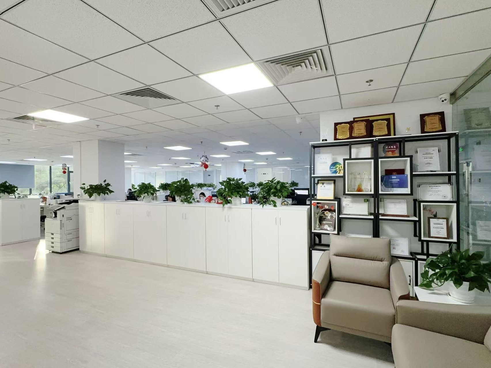 China Hong Kong Starsurge Group Co., Limited Perfil de la compañía
