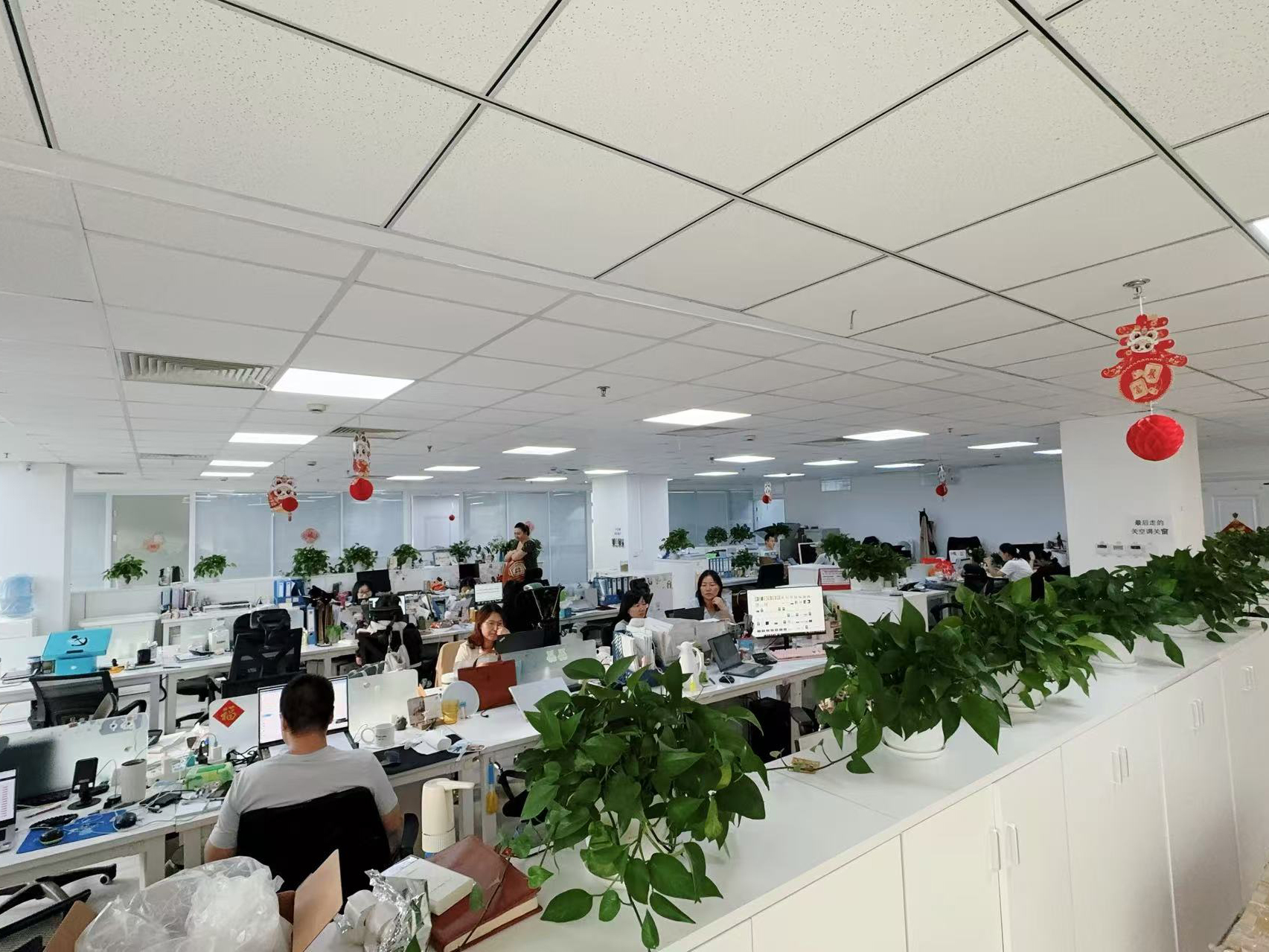 China Hong Kong Starsurge Group Co., Limited Perfil de la compañía