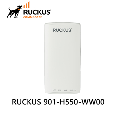 Ruckus 901-H550-Ww00 Wi-Fi 6 Dual-Band Wall-Mounted Access Point