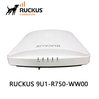 Ruckus 9u1-R750-Ww00 High-Performance Wi-Fi Solution for Businesses 3.